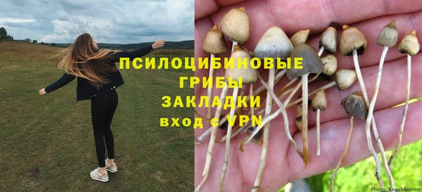 спиды Кукмор