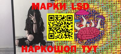 амф Кандалакша