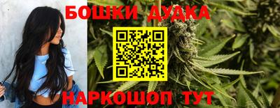 амф Кандалакша